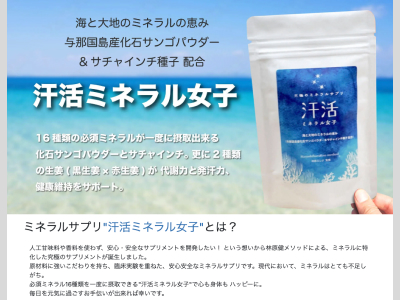 汗活ミネラルサプリECサイト構築
